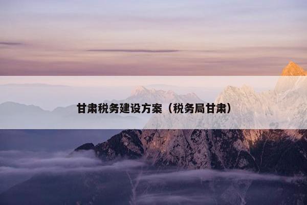 甘肃税务建设方案（税务局甘肃）