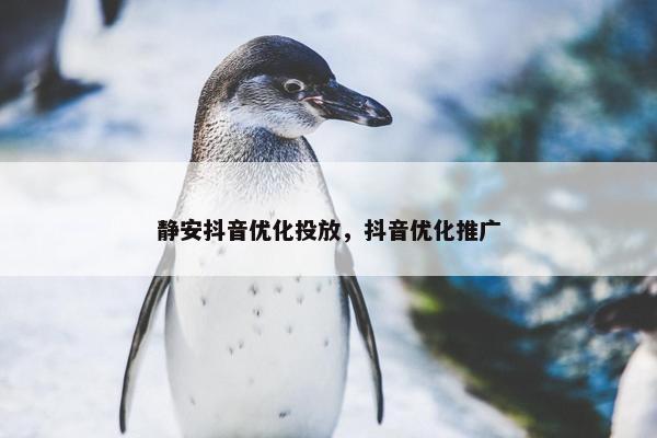 静安抖音优化投放，抖音优化推广