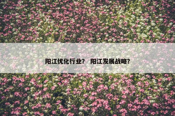 阳江优化行业？ 阳江发展战略？