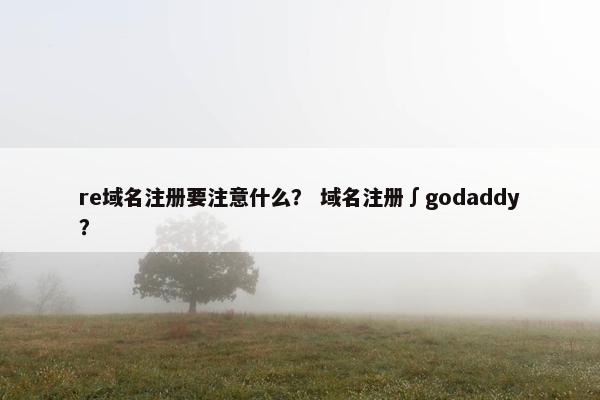 re域名注册要注意什么？ 域名注册∫godaddy？