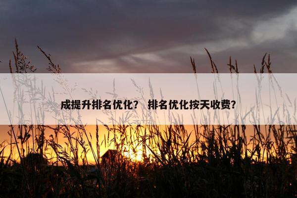 成提升排名优化？ 排名优化按天收费？