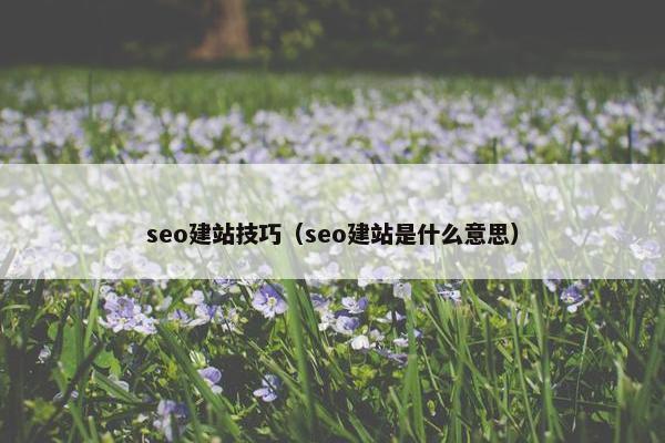 seo建站技巧（seo建站是什么意思）