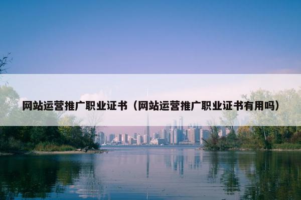 网站运营推广职业证书（网站运营推广职业证书有用吗）