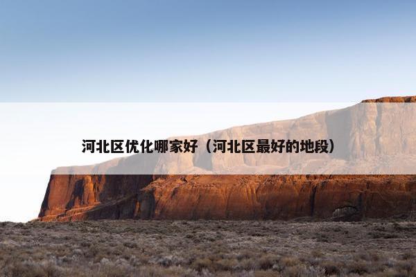 河北区优化哪家好（河北区最好的地段）