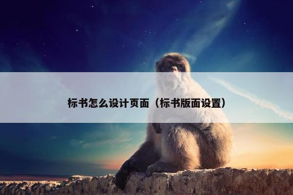 标书怎么设计页面（标书版面设置）