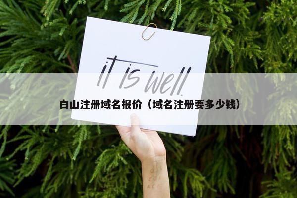 白山注册域名报价（域名注册要多少钱）