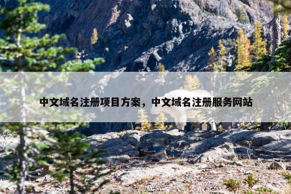 中文域名注册项目方案，中文域名注册服务网站