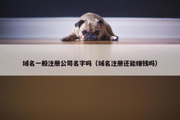 域名一般注册公司名字吗（域名注册还能赚钱吗）