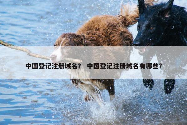 中国登记注册域名？ 中国登记注册域名有哪些？