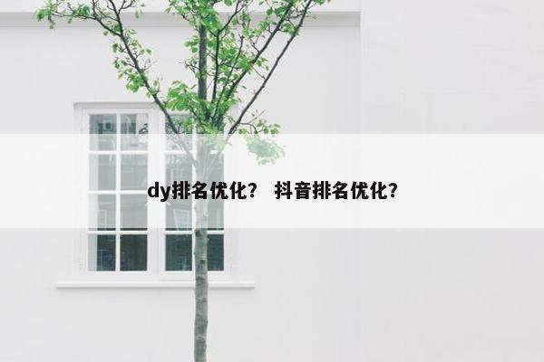 dy排名优化？ 抖音排名优化？