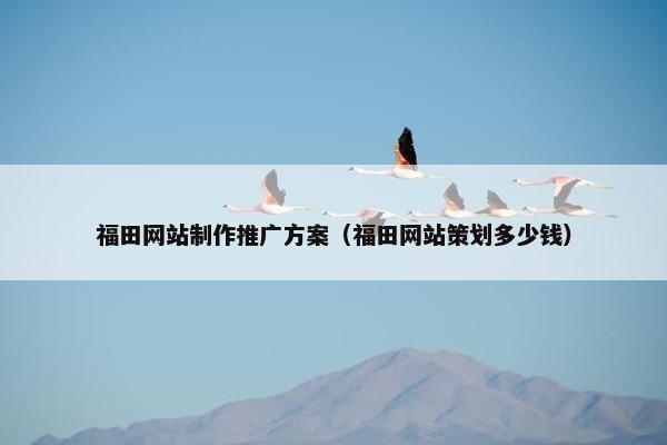 福田网站制作推广方案（福田网站策划多少钱）
