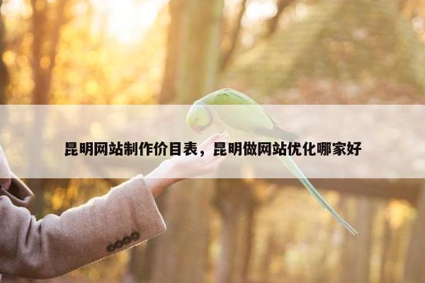 昆明网站制作价目表，昆明做网站优化哪家好