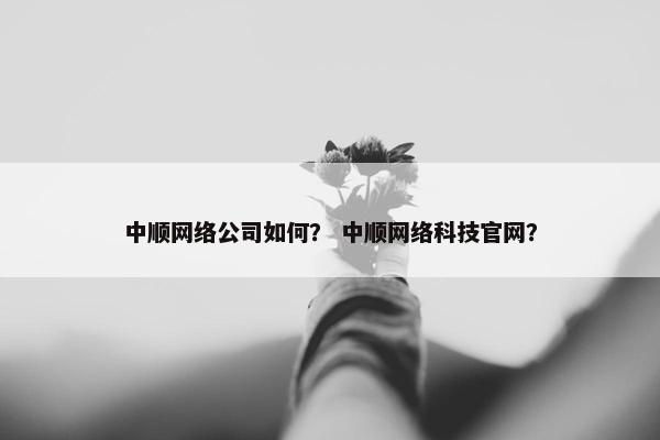 中顺网络公司如何？ 中顺网络科技官网？