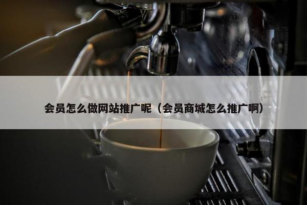 会员怎么做网站推广呢（会员商城怎么推广啊）