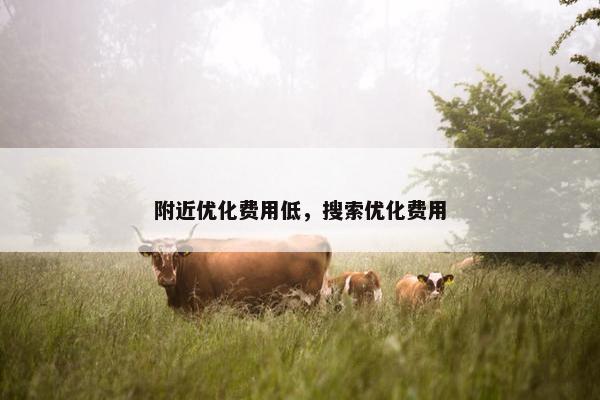 附近优化费用低，搜索优化费用