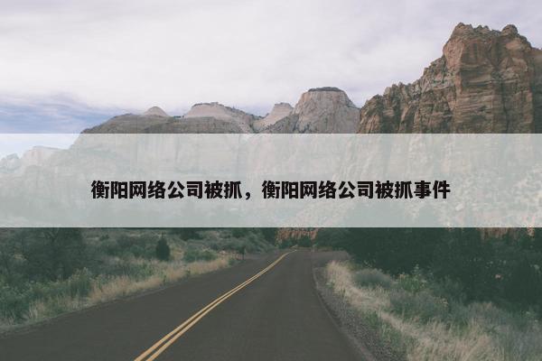 衡阳网络公司被抓，衡阳网络公司被抓事件