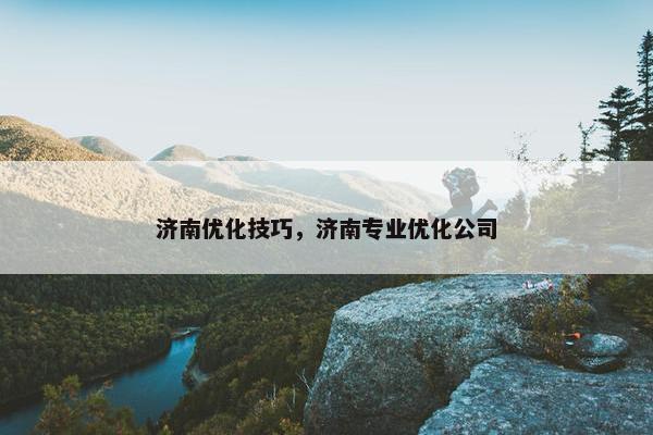济南优化技巧，济南专业优化公司
