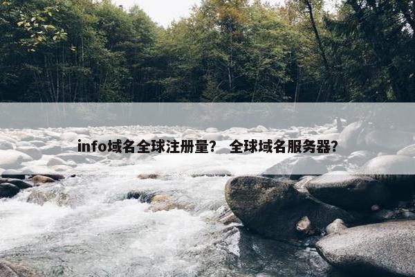 info域名全球注册量？ 全球域名服务器？