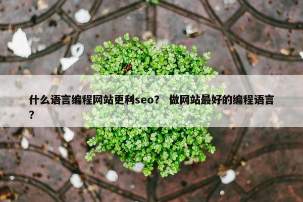 什么语言编程网站更利seo？ 做网站最好的编程语言？