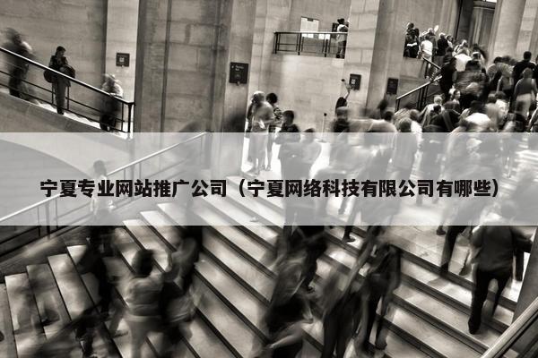 宁夏专业网站推广公司（宁夏网络科技有限公司有哪些）