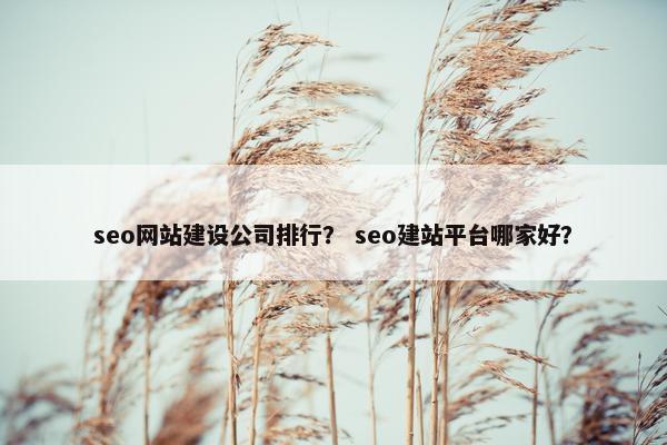 seo网站建设公司排行？ seo建站平台哪家好？