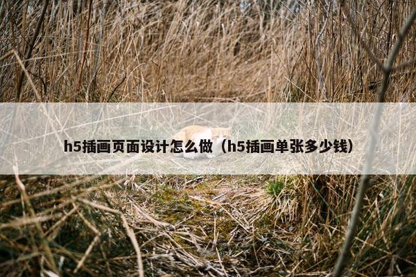 h5插画页面设计怎么做（h5插画单张多少钱）