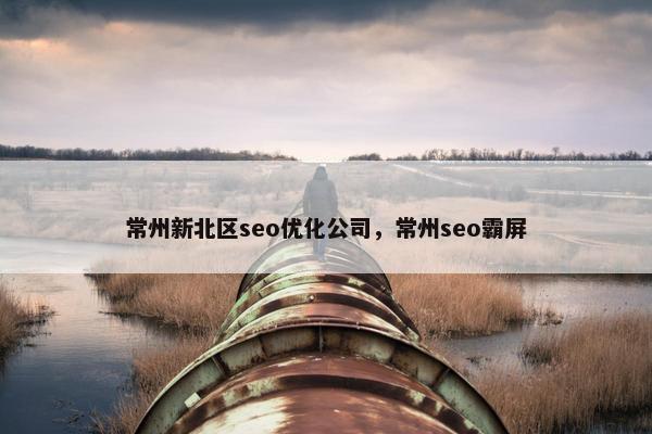 常州新北区seo优化公司，常州seo霸屏