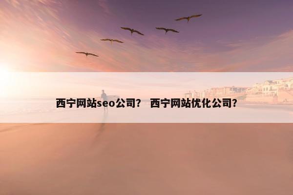 西宁网站seo公司？ 西宁网站优化公司？