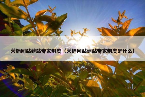 营销网站建站专家制度（营销网站建站专家制度是什么）