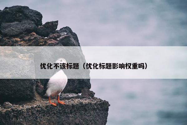 优化不该标题（优化标题影响权重吗）