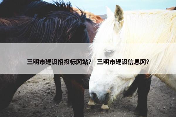 三明市建设招投标网站？ 三明市建设信息网？