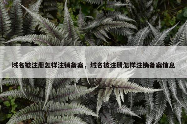 域名被注册怎样注销备案，域名被注册怎样注销备案信息