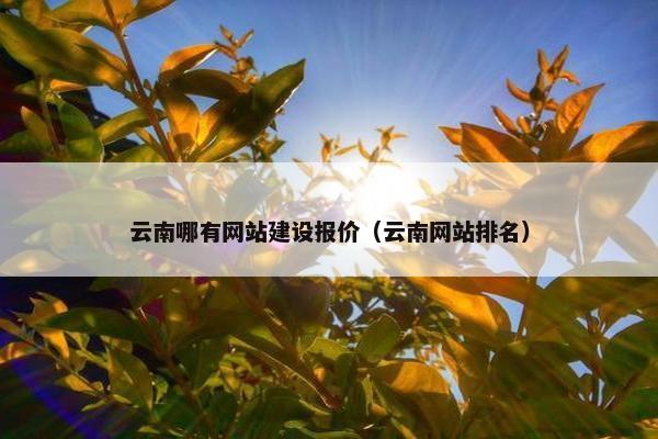 云南哪有网站建设报价（云南网站排名）