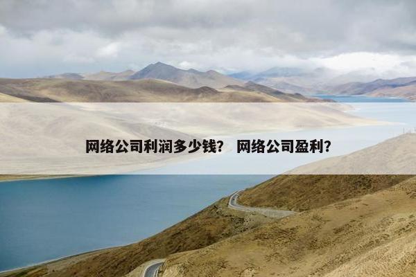 网络公司利润多少钱？ 网络公司盈利？