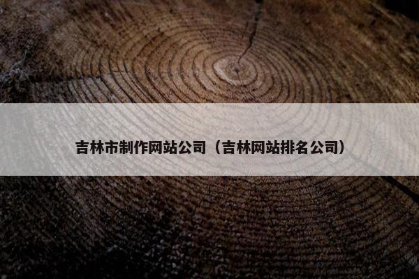 吉林市制作网站公司（吉林网站排名公司）
