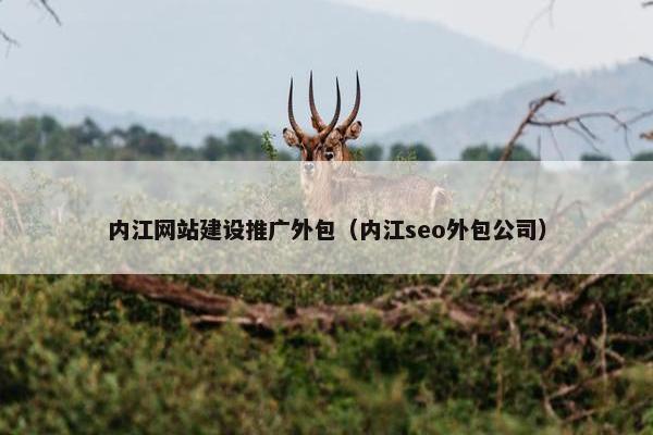 内江网站建设推广外包（内江seo外包公司）