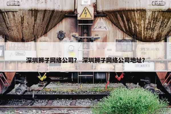 深圳狮子网络公司？ 深圳狮子网络公司地址？