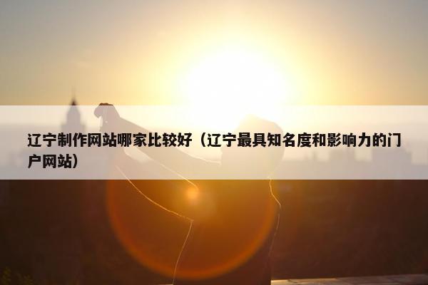 辽宁制作网站哪家比较好（辽宁最具知名度和影响力的门户网站）