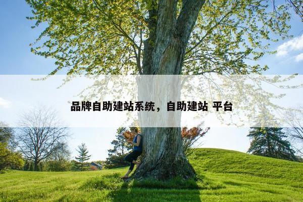 品牌自助建站系统，自助建站 平台