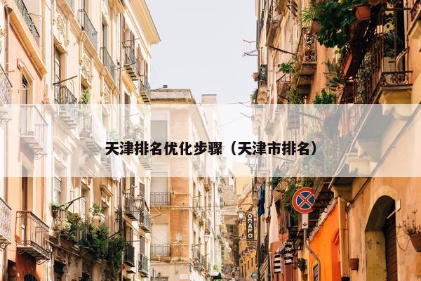 天津排名优化步骤（天津市排名）