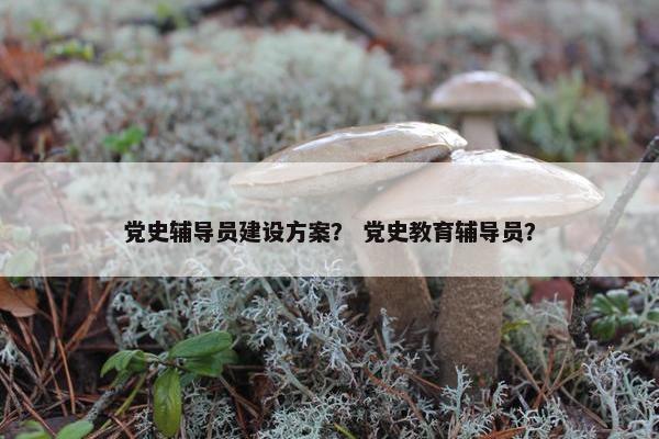 党史辅导员建设方案？ 党史教育辅导员？