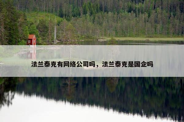 法兰泰克有网络公司吗，法兰泰克是国企吗