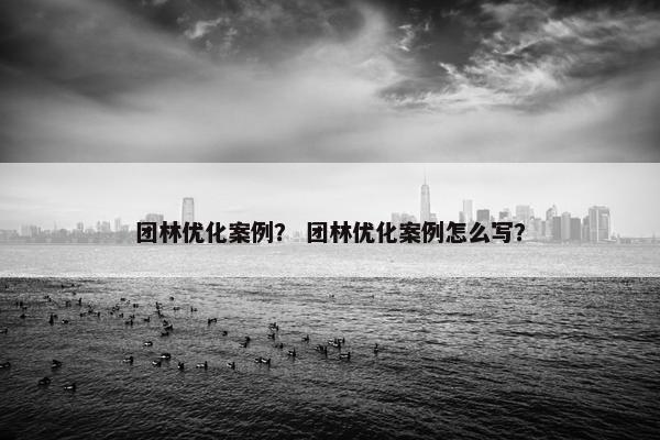 团林优化案例？ 团林优化案例怎么写？