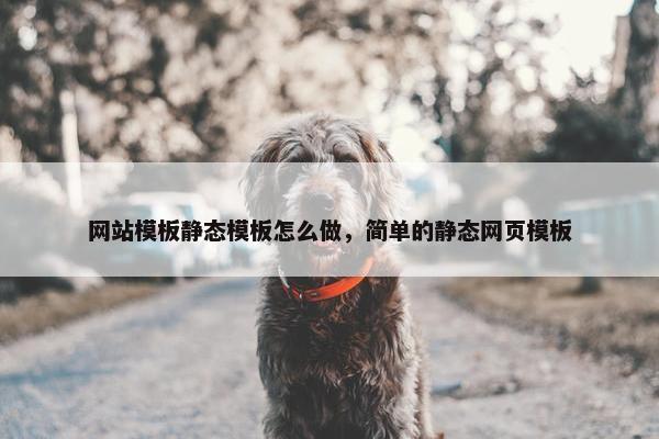 网站模板静态模板怎么做，简单的静态网页模板