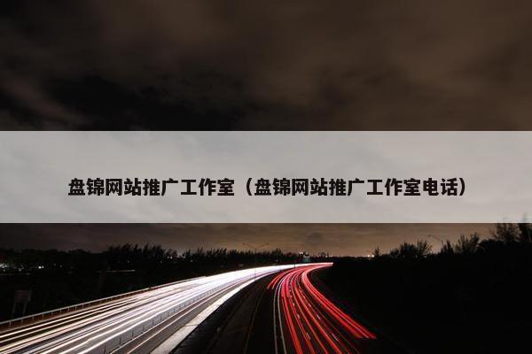 盘锦网站推广工作室（盘锦网站推广工作室电话）