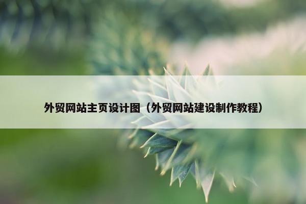 外贸网站主页设计图（外贸网站建设制作教程）