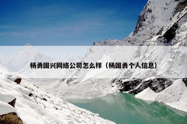 杨勇国兴网络公司怎么样（杨国勇个人信息）