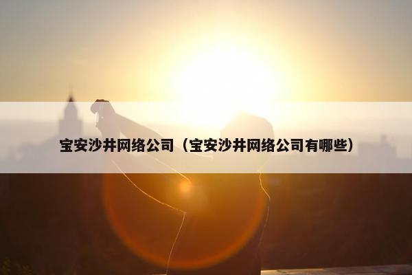 宝安沙井网络公司（宝安沙井网络公司有哪些）