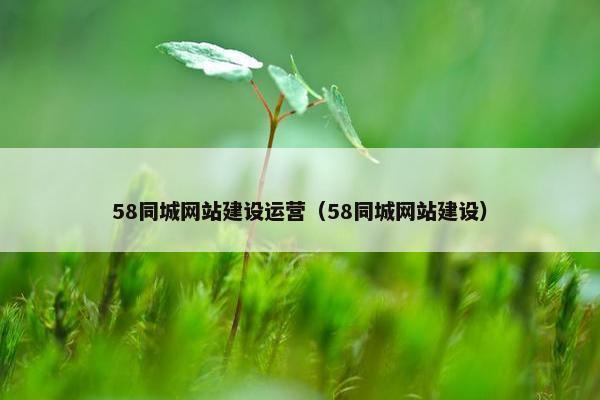 58同城网站建设运营（58同城网站建设）