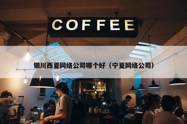 银川西夏网络公司哪个好（宁夏网络公司）
